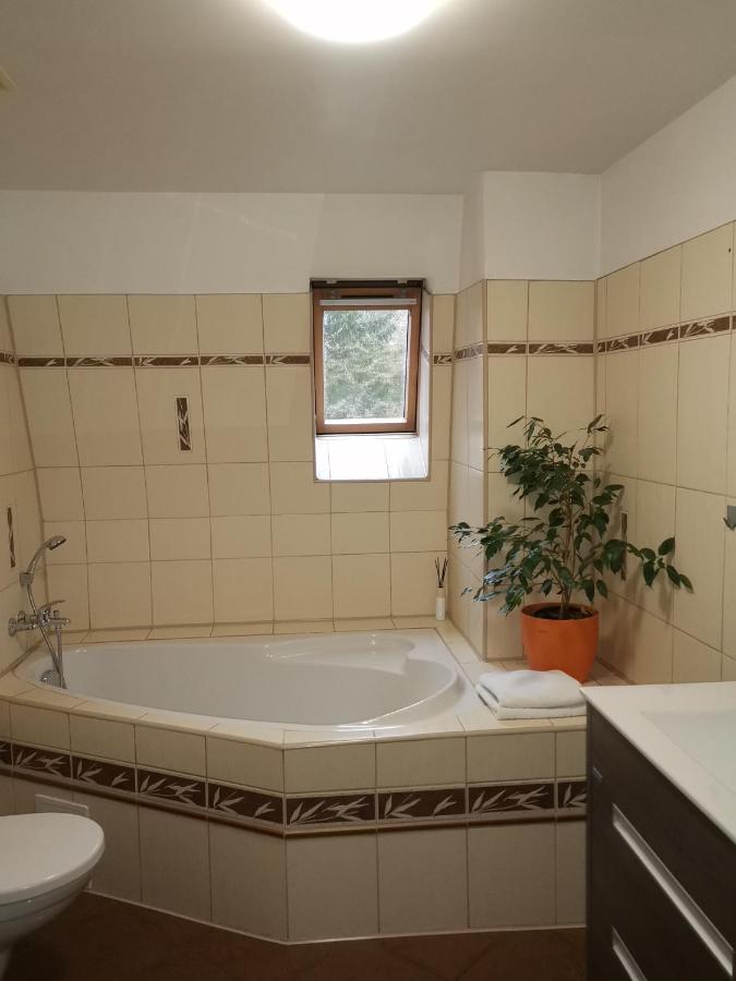 Apartmány Paseky - Jablonec nad Nisou Exterior foto